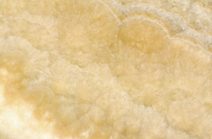 Onice Miele