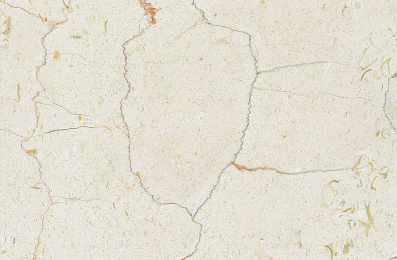 Shell Beige