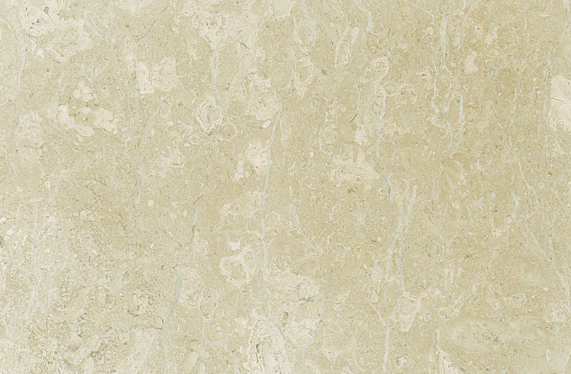 Tiger Beige